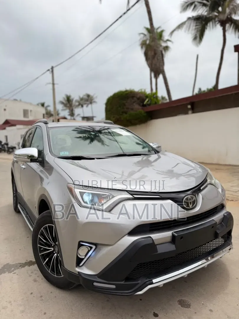 Toyota RAV4 2018 Gris