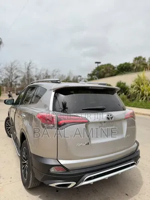 Toyota RAV4 2018 Gris