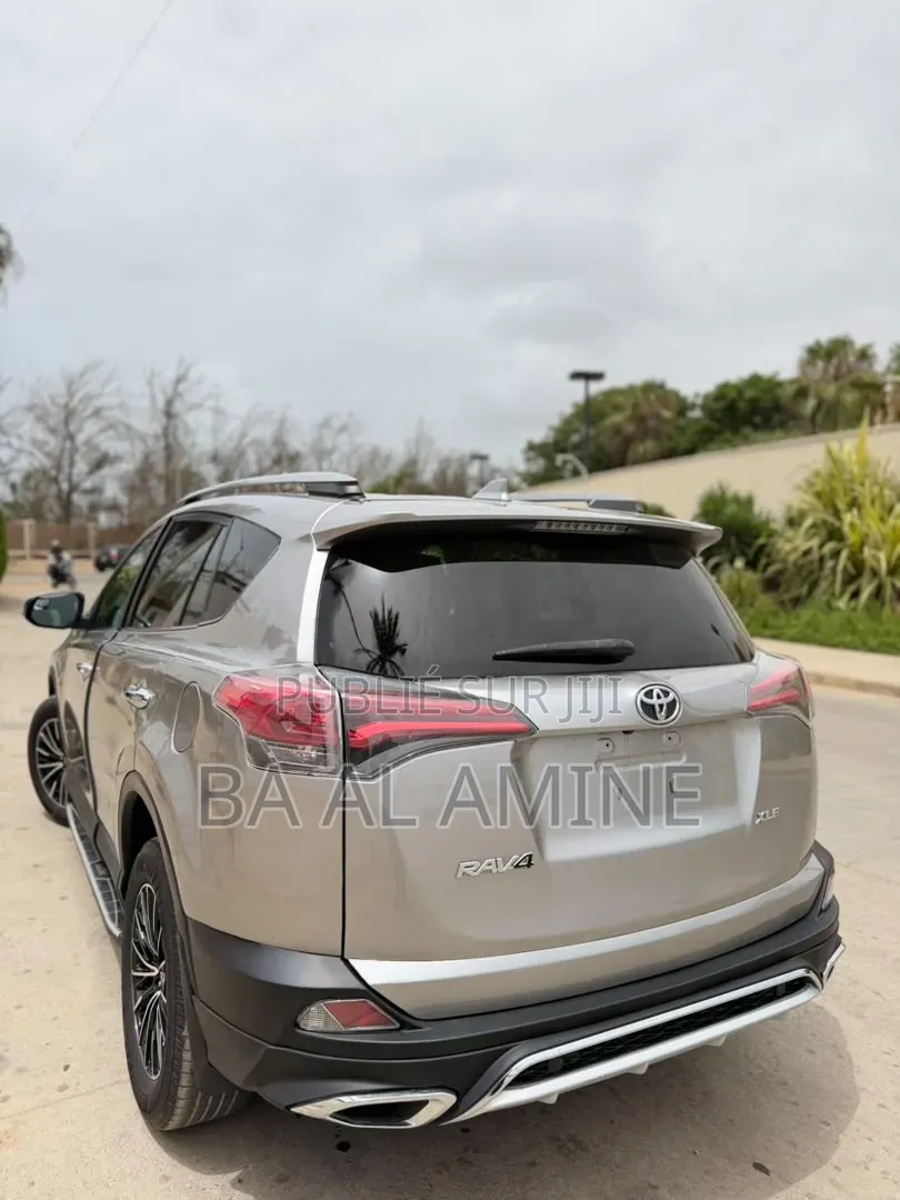 Toyota RAV4 2018 Gris