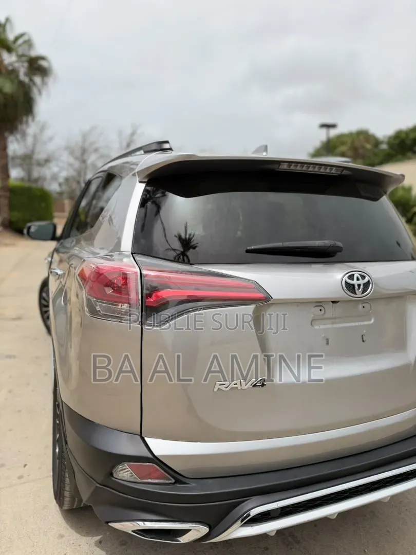 Toyota RAV4 2018 Gris