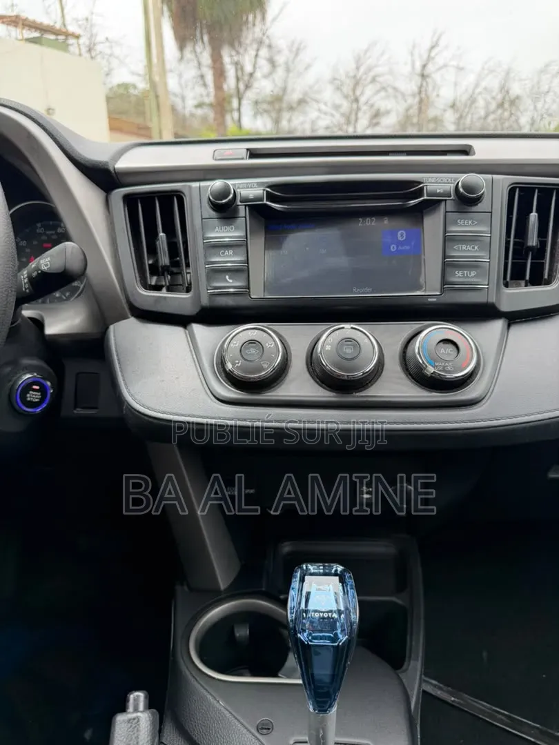 Toyota RAV4 2018 Gris