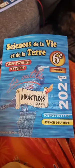 Lot De Livre De 6em
