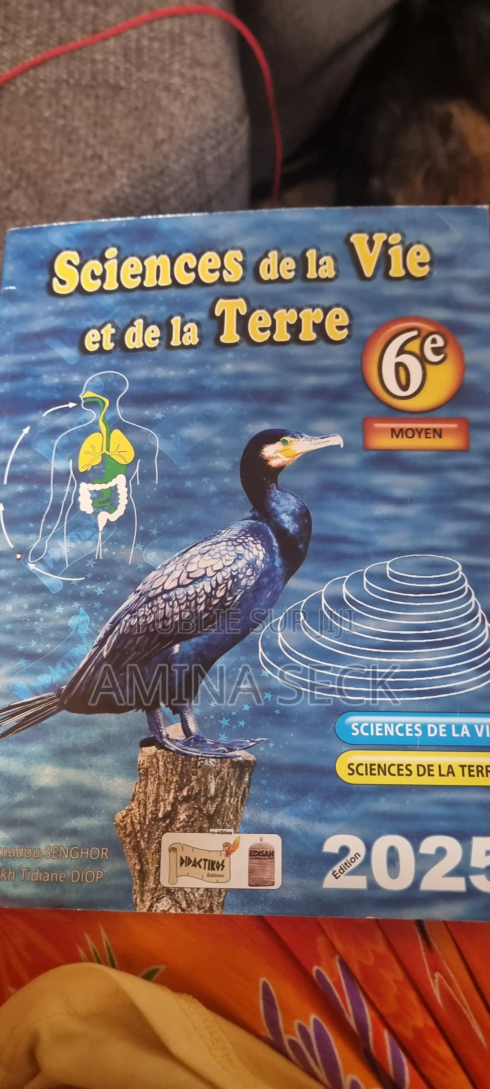 Lot De Livre De 6em