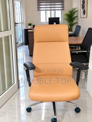 Fauteuils Et Chaises Des Bureaux