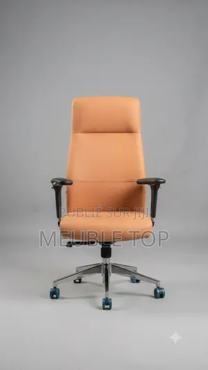 Fauteuils Et Chaises Des Bureaux