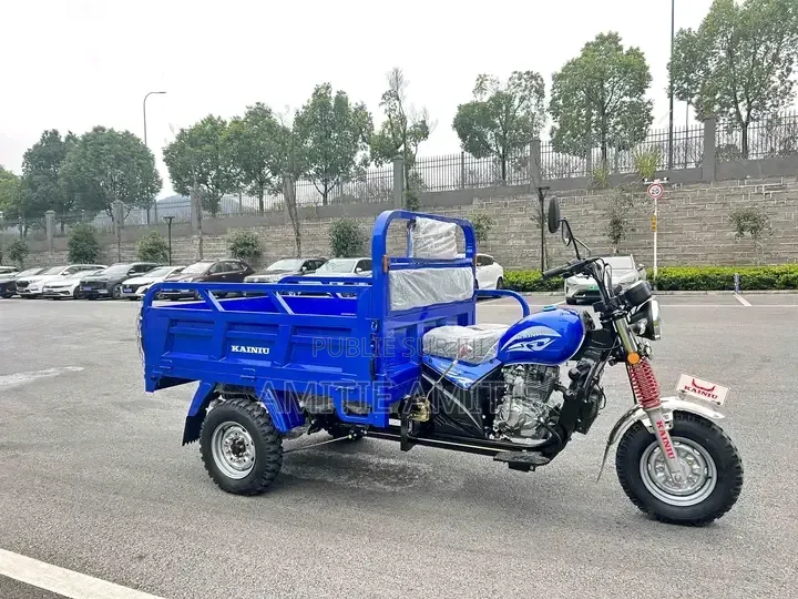 Nouveau Tricycle Autre 2025 Bleu