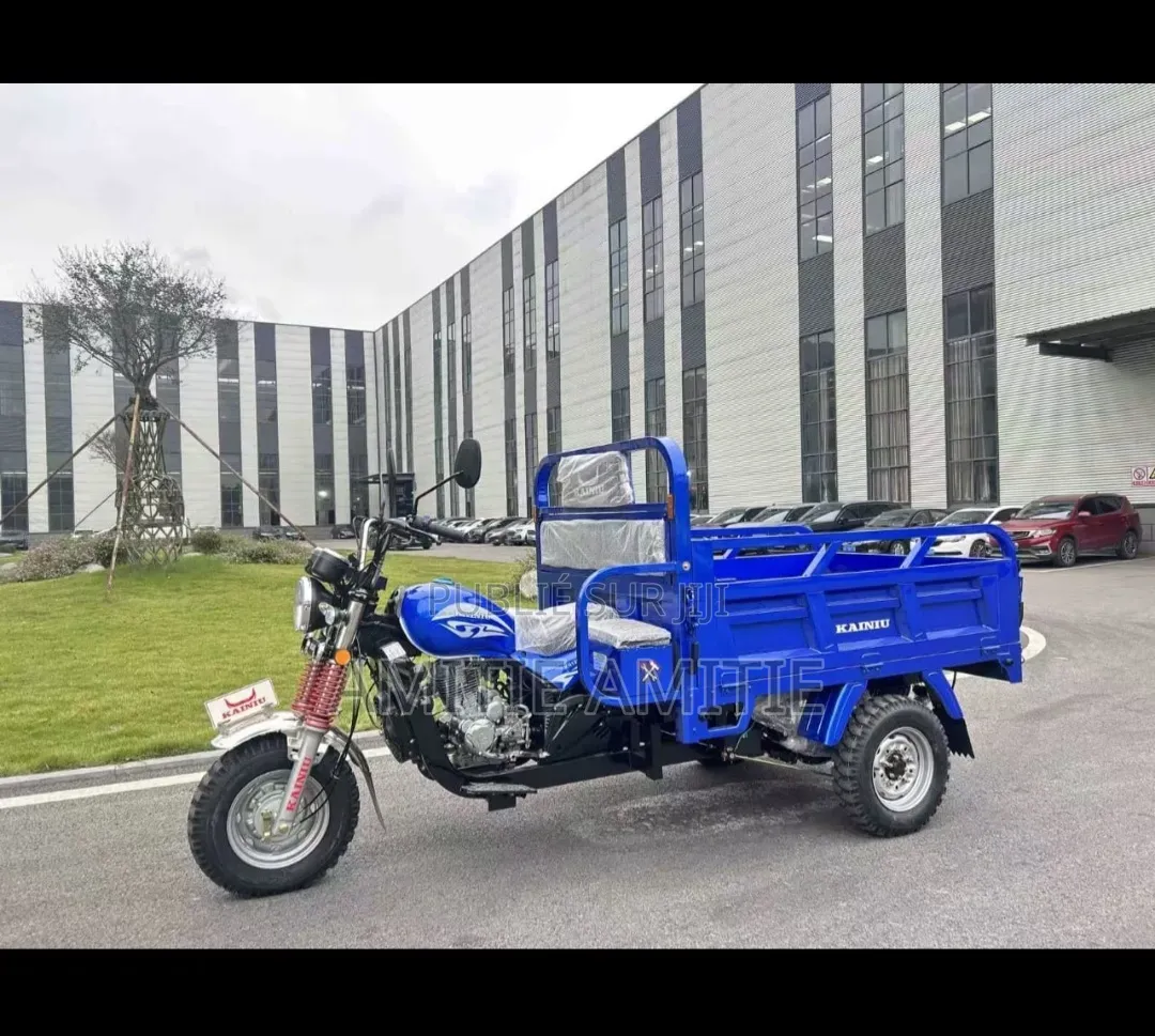 Nouveau Tricycle Autre 2025 Bleu