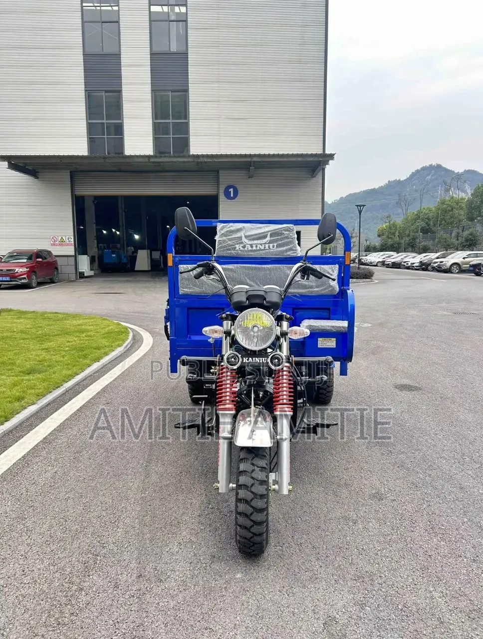 Nouveau Tricycle Autre 2025 Bleu