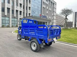 Nouveau Tricycle Autre 2025 Bleu