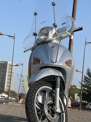 Nouveau Piaggio Trotinette 2015 Gris