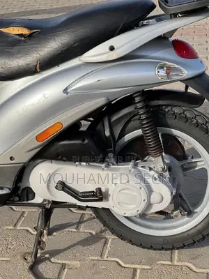 Nouveau Piaggio Trotinette 2015 Gris