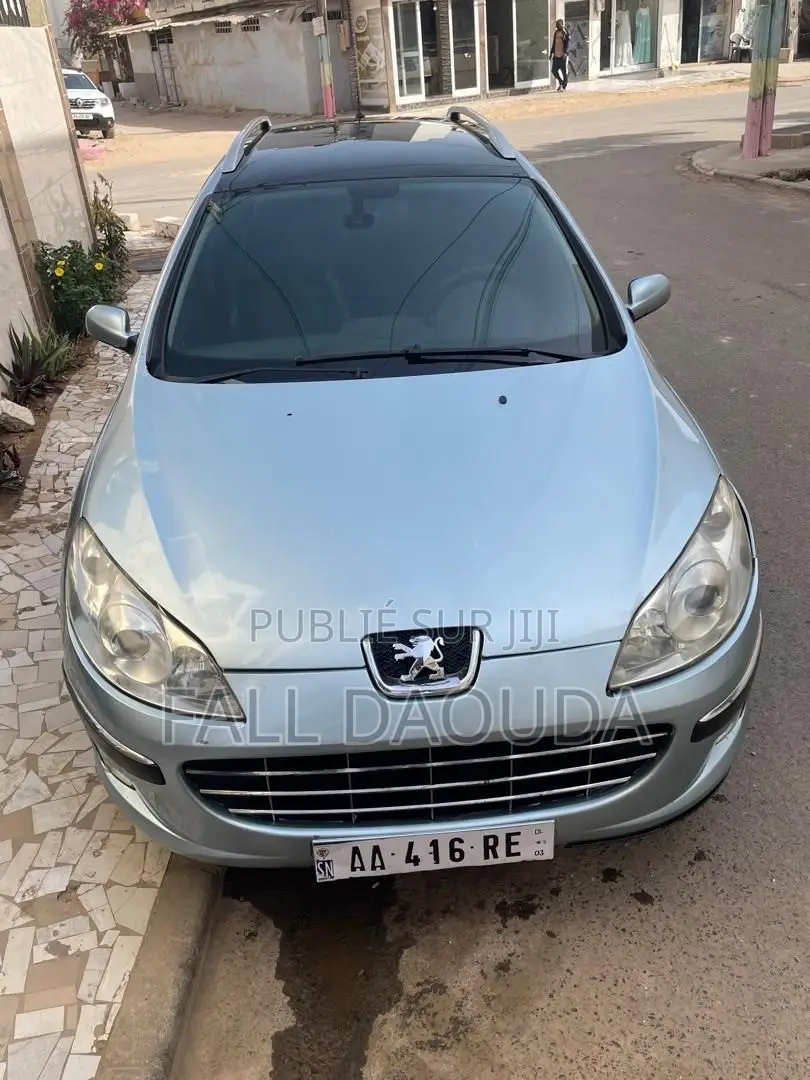 Peugeot 407 2005 Bleu