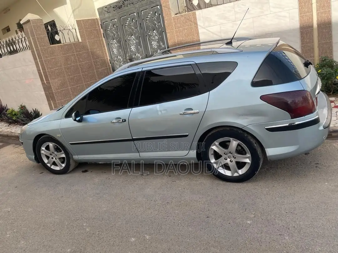 Peugeot 407 2005 Bleu