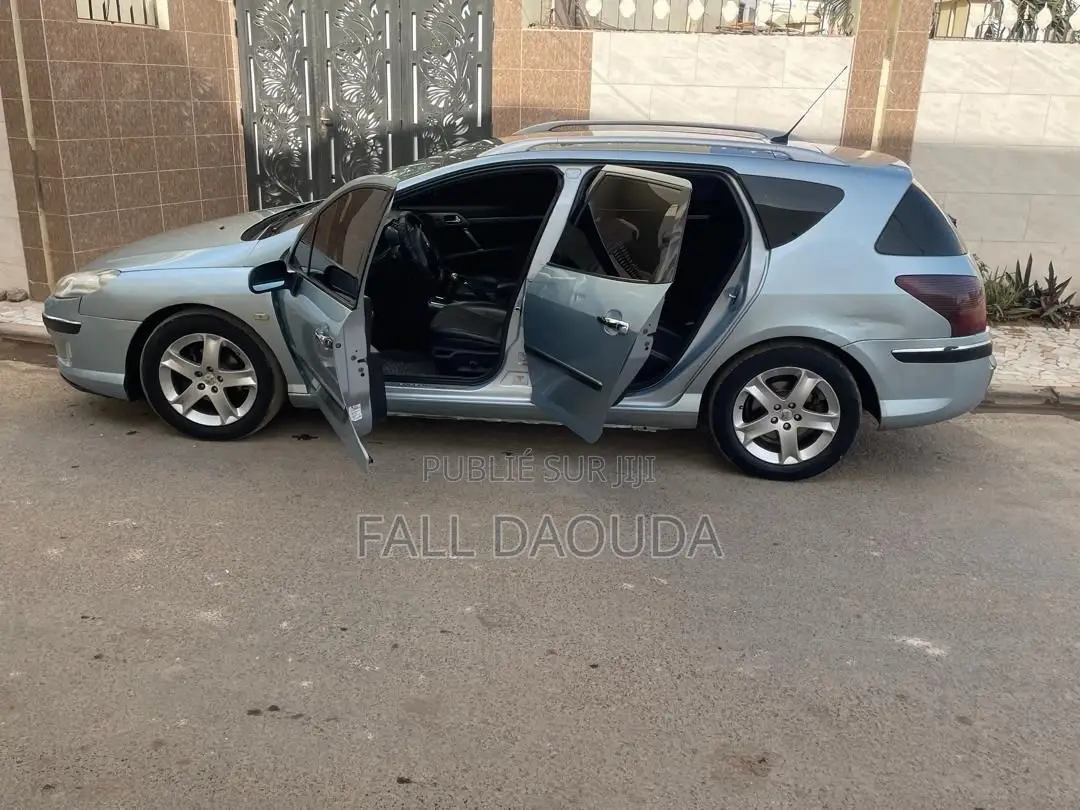 Peugeot 407 2005 Bleu
