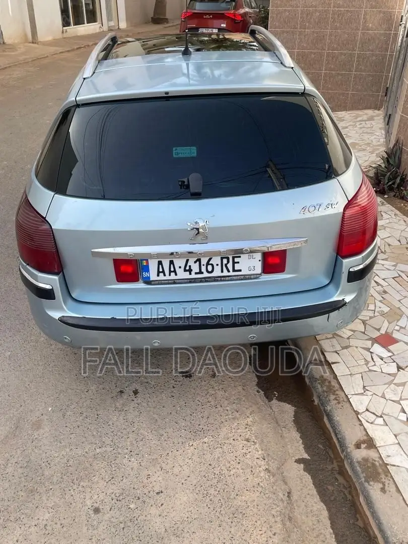 Peugeot 407 2005 Bleu