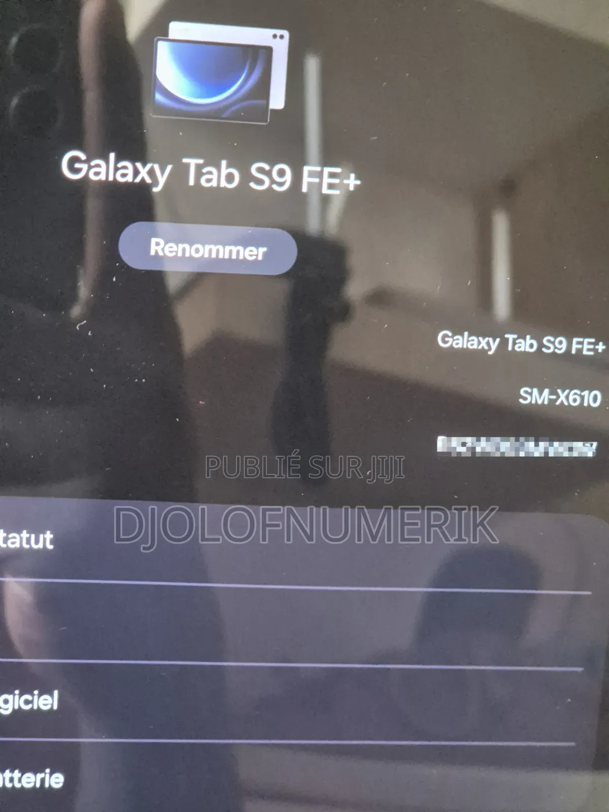 Samsung Galaxy Tab S9 FE+ 128 GB Gris