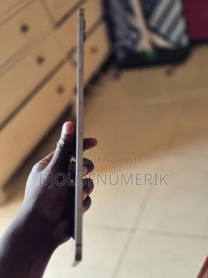 Samsung Galaxy Tab S9 FE+ 128 GB Gris