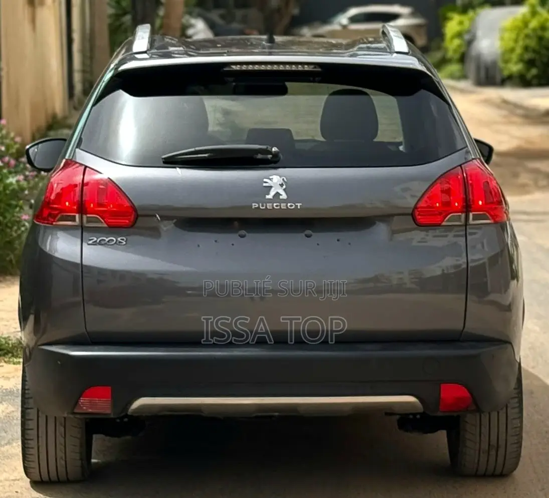 Peugeot 2008 2016 Gris