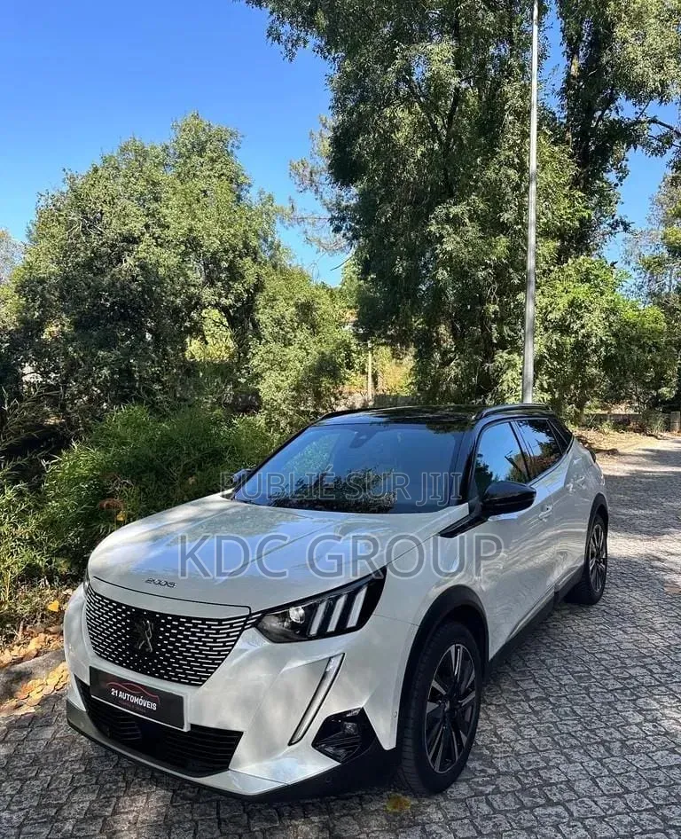 Peugeot 2008 2020 Blanc