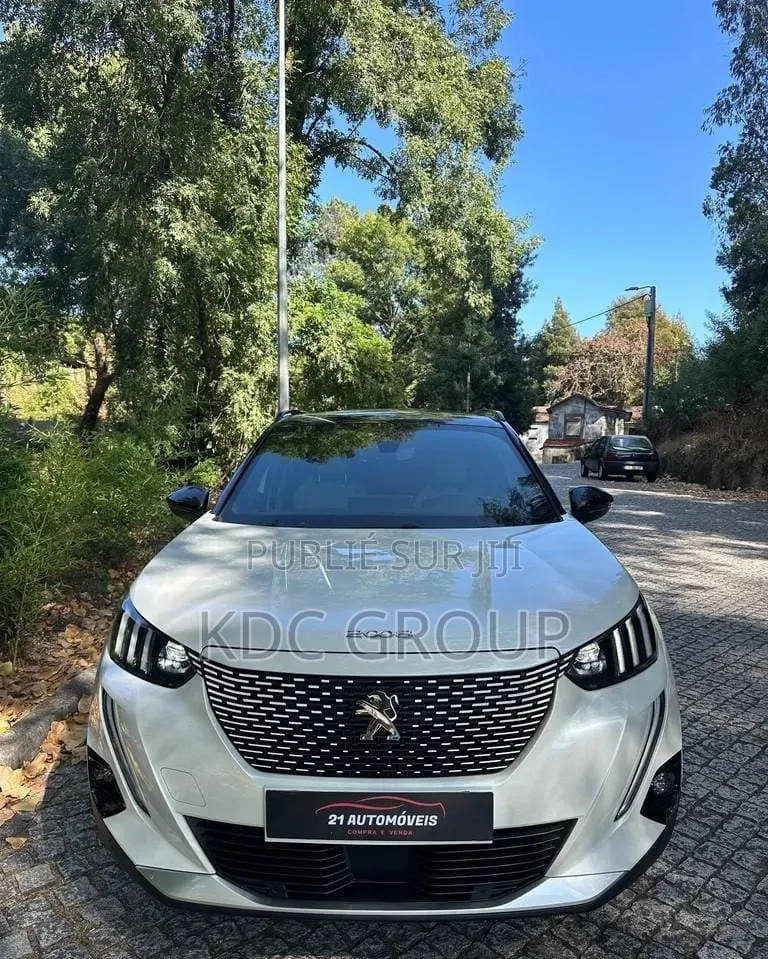 Peugeot 2008 2020 Blanc