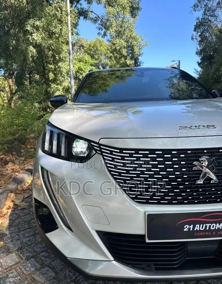 Peugeot 2008 2020 Blanc