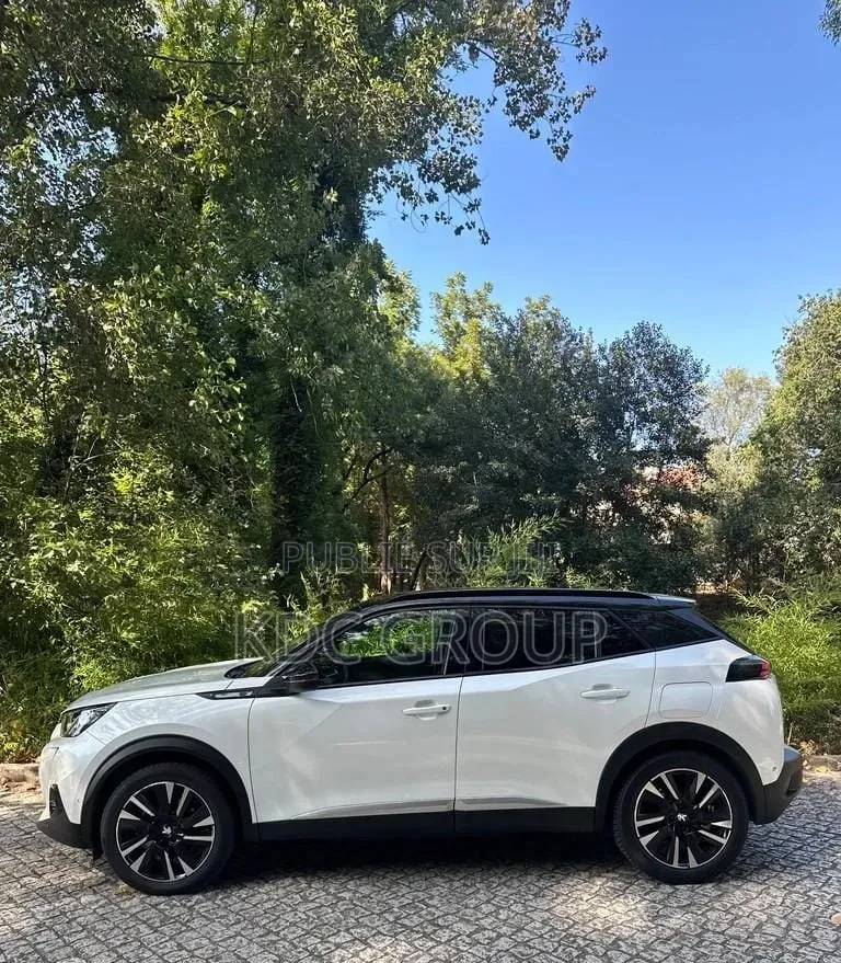 Peugeot 2008 2020 Blanc