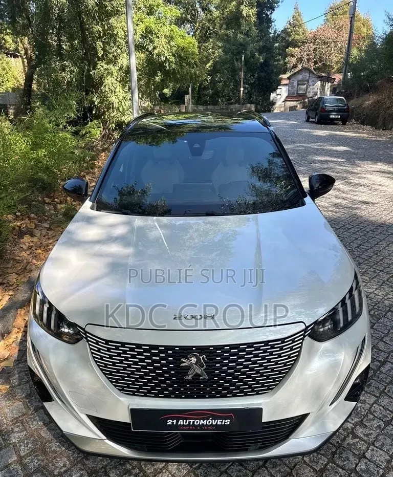 Peugeot 2008 2020 Blanc
