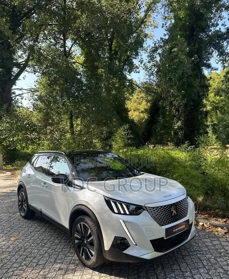 Peugeot 2008 2020 Blanc