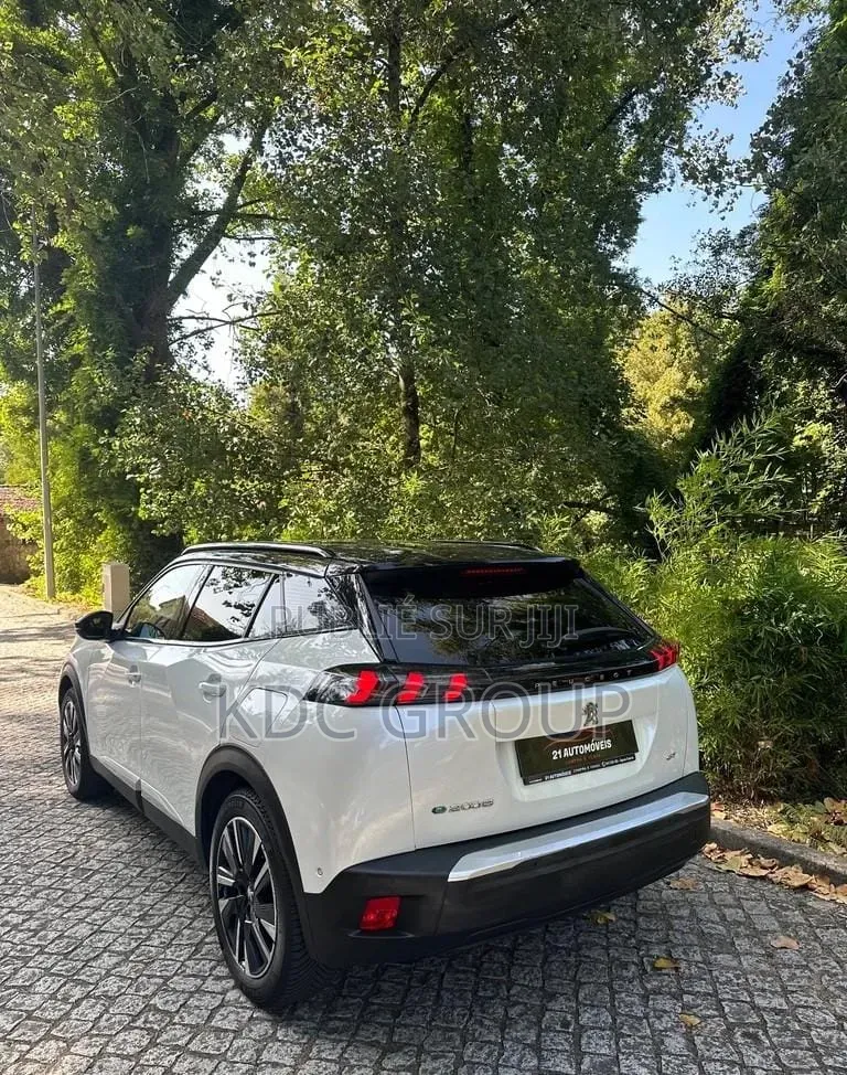 Peugeot 2008 2020 Blanc