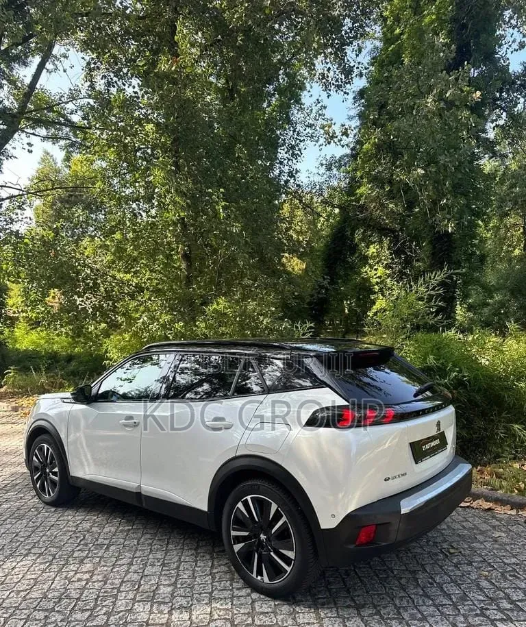 Peugeot 2008 2020 Blanc