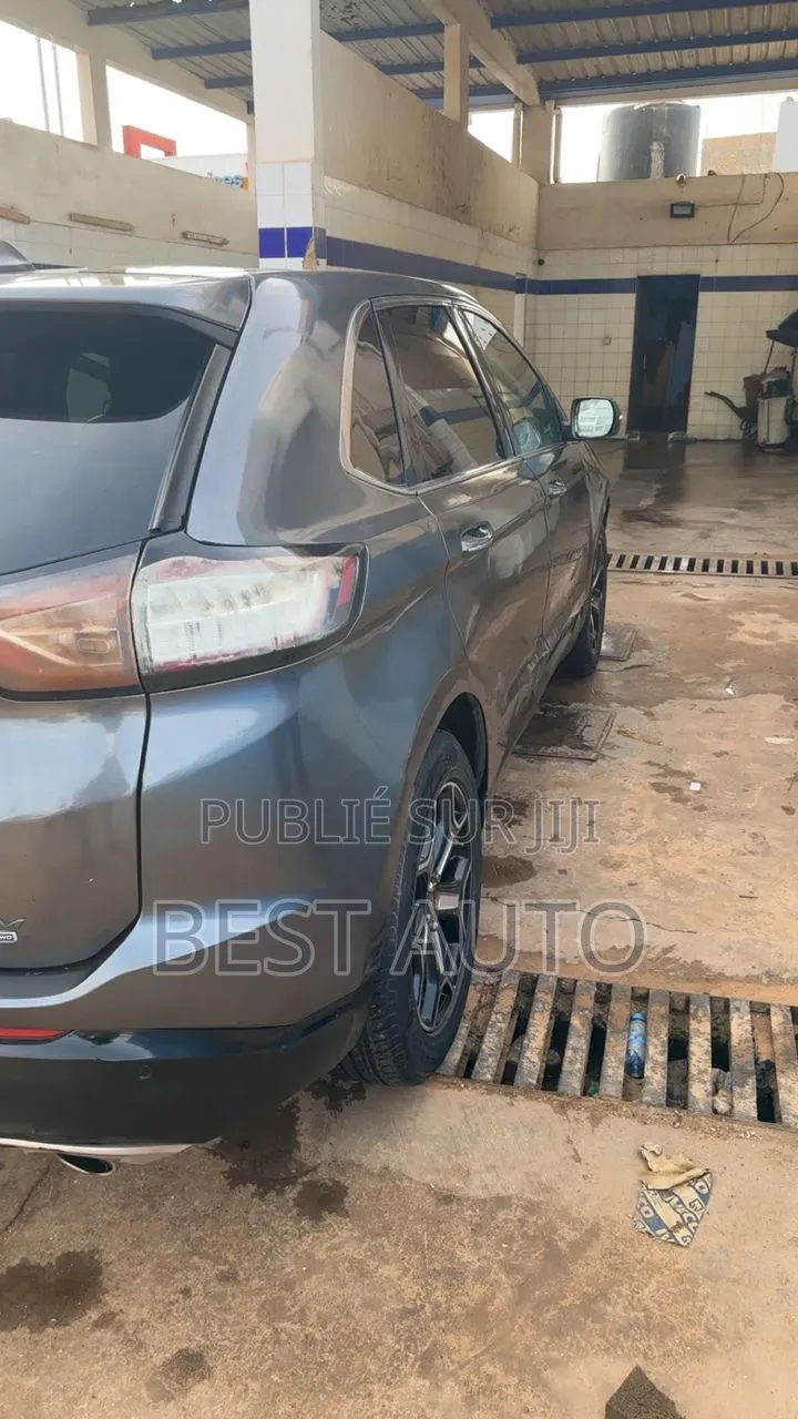Ford Edge 2017 Gris