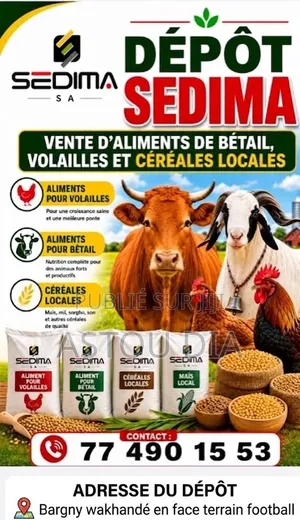 Vente De Poulet Teral