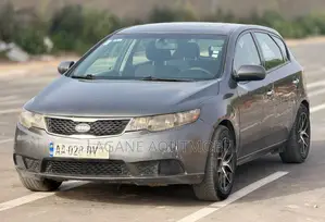 Kia Forte EX Sedan 2012 Gris