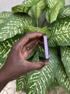 Pomme iPhone 14 Pro 128 GB Violet