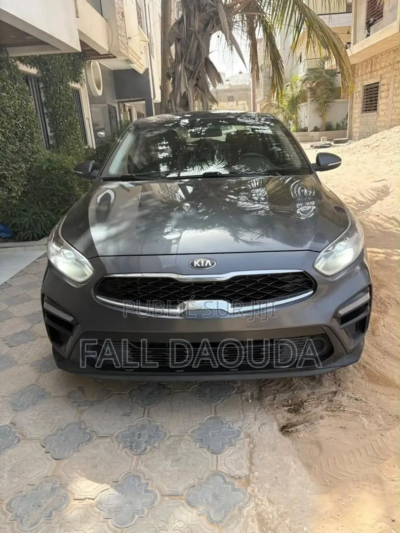 Kia Forte 2019 Gris