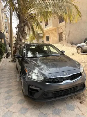 Kia Forte 2019 Gris