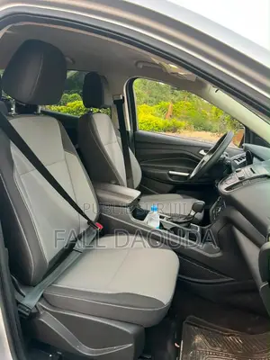 Ford Escape 2017 Gris