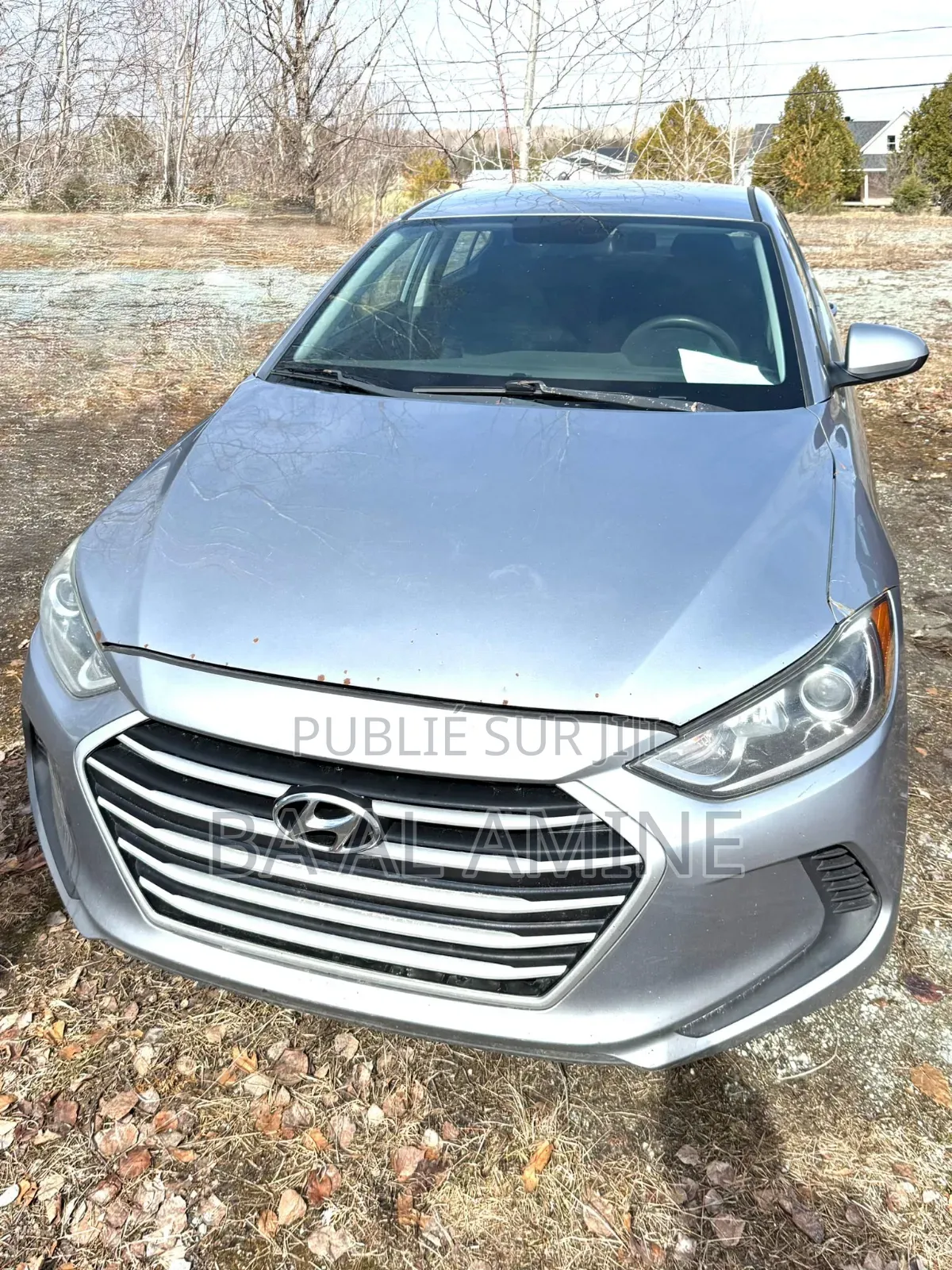 Hyundai Elantra 2017 Gris