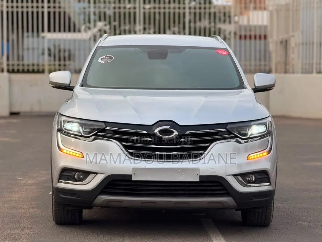 Renault 6 2016 Gris