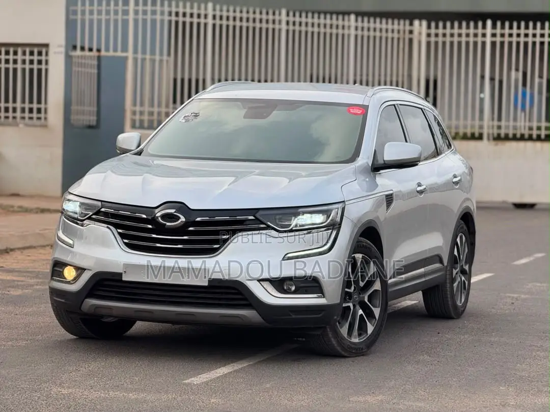 Renault 6 2016 Gris