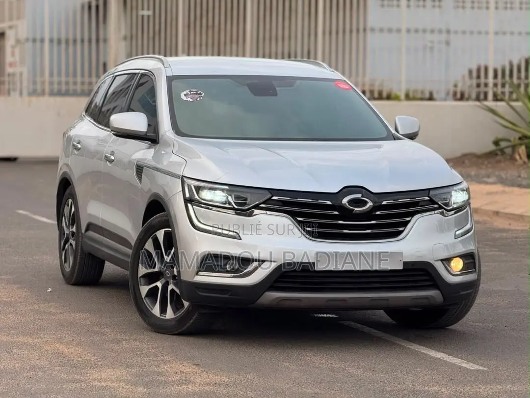 Renault 6 2016 Gris