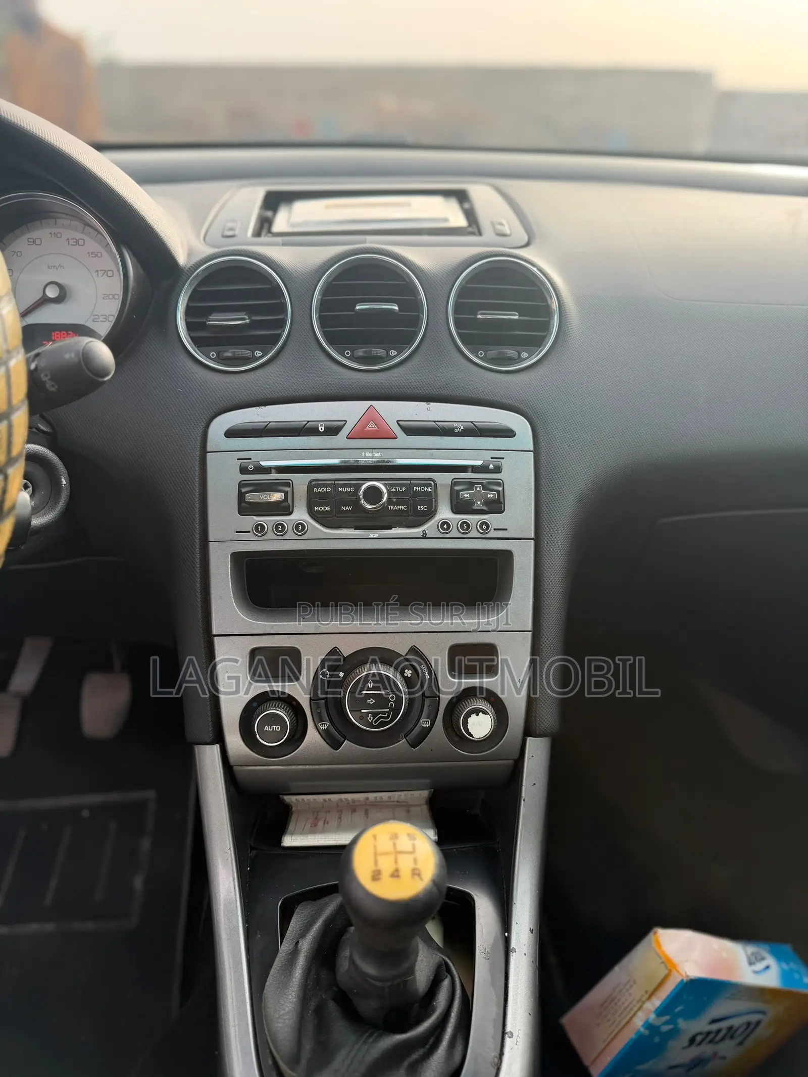 Peugeot 308 2010 Gris