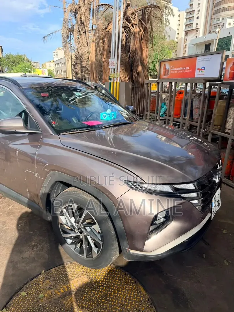Hyundai Tucson 2023 Marron