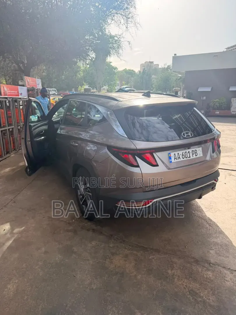 Hyundai Tucson 2023 Marron