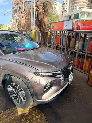 Hyundai Tucson 2023 Marron
