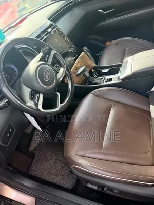 Hyundai Tucson 2023 Marron