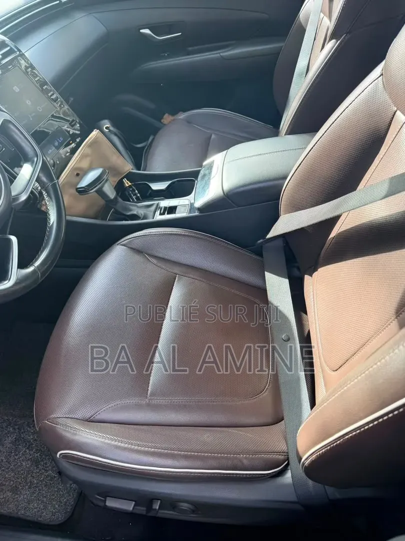 Hyundai Tucson 2023 Marron