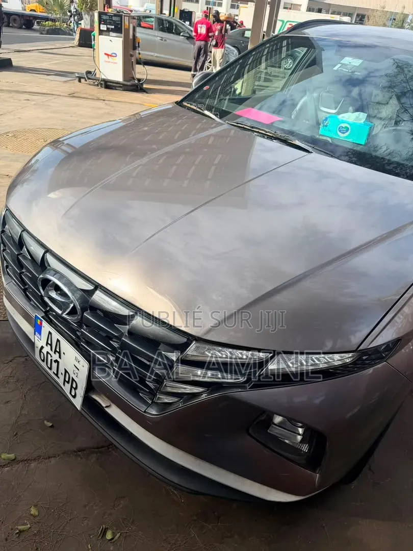Hyundai Tucson 2023 Marron