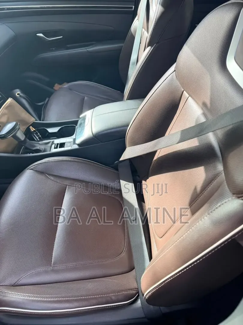 Hyundai Tucson 2023 Marron