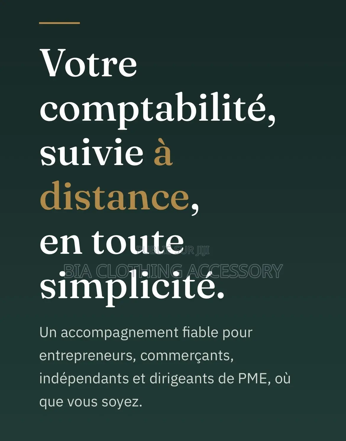 Tenue De La Comptabilité À Distance